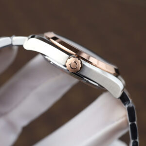 Đồng hồ Omega Seamaster Aqua Terra GMT Rep 11 mặt nâu chocolate dây kim loại xưởng VS 41 (2)